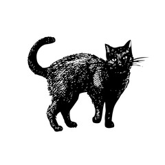 Halloween background. A typographic poster. Hand-drawn sketch of a cat vector illustration