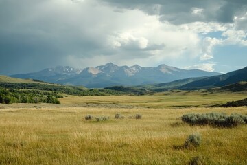 Fototapeta premium Montrose Colorado Canyon: Mountain Field Preserved Rock Geology