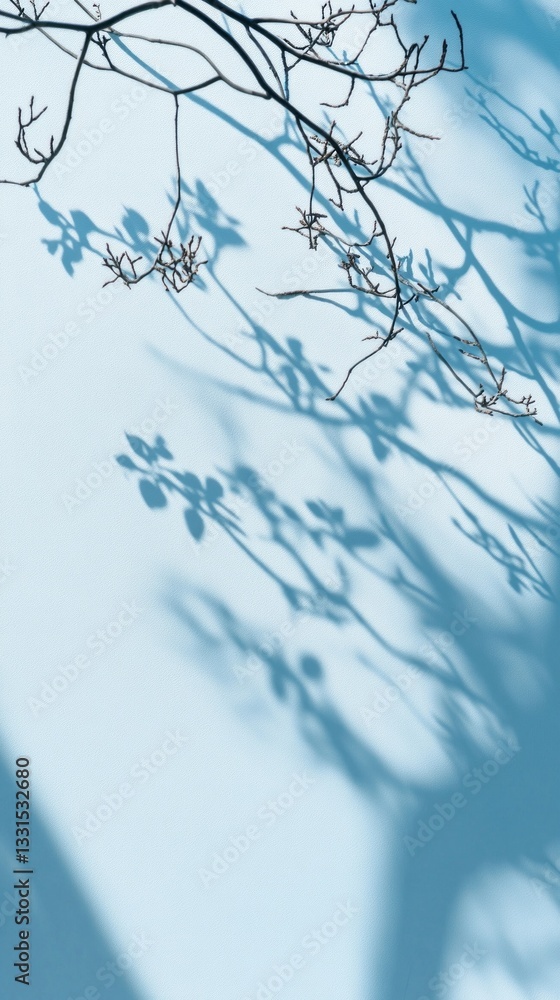 Poster Delicate branches reach out, casting intricate shadows upon a gentle light blue canvas. The soft interplay of light and shadow creates a serene, minimalistic atmosphere, inviting calm reflection