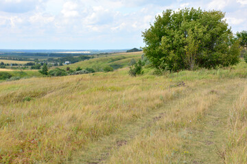 Fototapeta premium A beautiful rural landscape with a field of grass, a hill, a tree and a blue sky