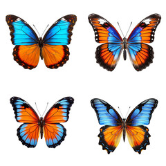 Obraz premium Four Vibrant Blue and Orange Butterflies Isolated on Transparent Png Collection of tropical insect wings