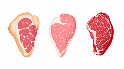 Various Cuts of Raw Meat on White Background for Culinary Use