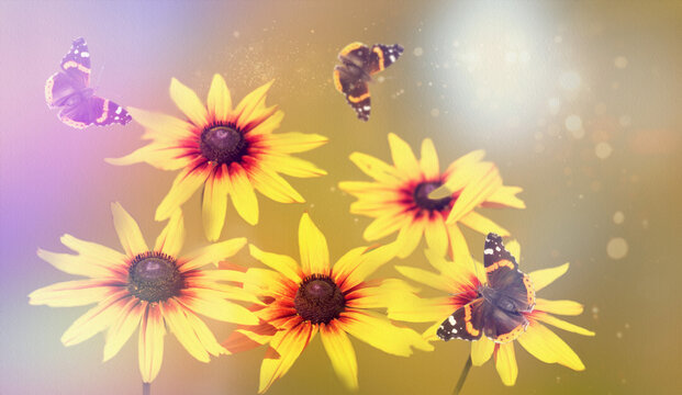 Few flying butterflies and yellow flowers over blurrred sunny background - Powered by Adobe