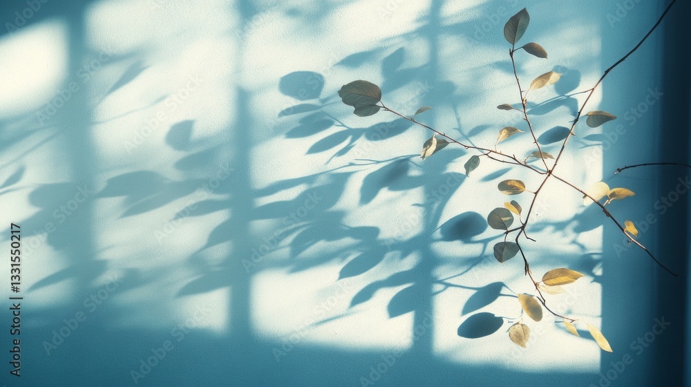 Poster soft hues of blue create a calming backdrop as gentle shadows from slender branches and scattered le