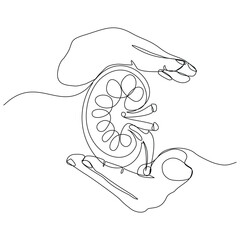 Continuous single line of  hand holding kidney human body organ anatomical for donor donation medical science. Sketch drawing editable stroke vector illustration