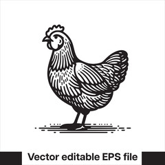 Vector minimalist chicken 