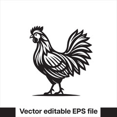Vector minimalist chicken 