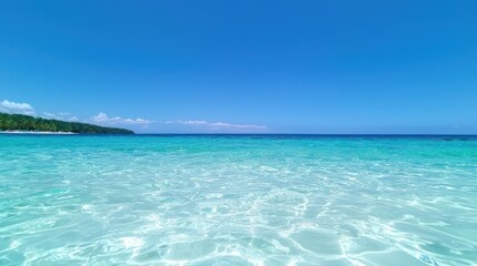 Fototapeta premium Azure Horizon: A stunning panorama of a serene beach unfolds under a vibrant, clear blue sky. Crystal-clear waters gently caress the shore, and tropical plants line the horizon.