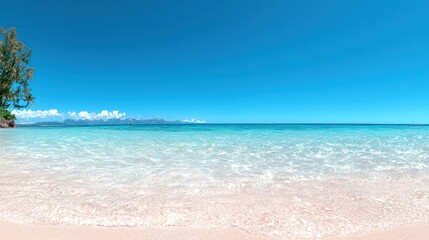 Fototapeta premium Coastal Paradise: A vibrant, sun-kissed beach scene unfolds, the serene turquoise waters meeting a cloudless sky. Capturing the essence of summer and relaxation.