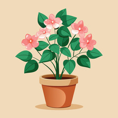 flower in pot