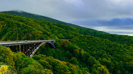 Steel Bridge in Nature