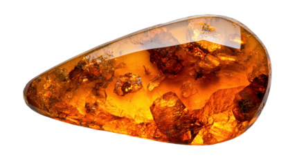 Entombed in Time: A Glimpse into the Prehistoric World through Amber's Golden Embrace, Revealing Nature's Ancient Secrets and Timeless Beauty