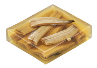 Eel in Jelly Cube on Transparent Background