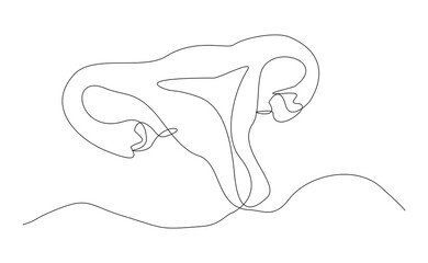 Continuous single line of uterus ovary cervix anatomy female reproductive organ sketch drawing editable stroke vector illustration