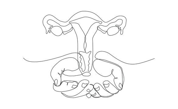 female reproductive system held in hands, line art clip art preview