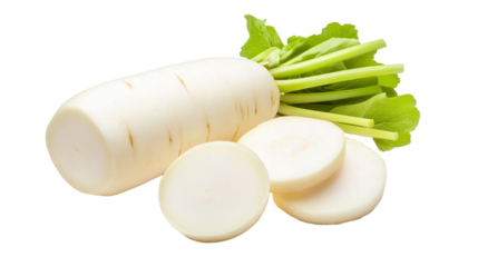 fresh white radish vegetable with slices isolated on white background