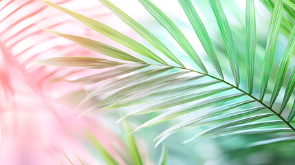 Obraz premium Lush green palm leaves in a tropical setting nature photography vibrant colors close-up view