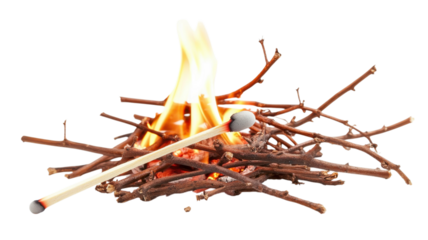 Flames dance around wooden twigs as a match ignites a small fire in a vibrant demonstration of nature's elements