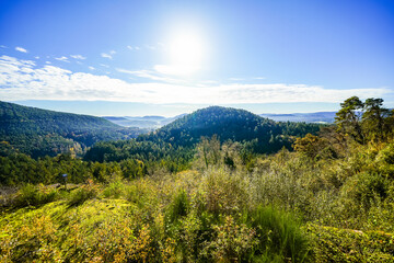 Obraz premium View from the Altdahn castle massif of the surrounding landscape with green forests. Nature at the medieval rock castle in the Palatinate region. 