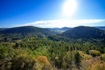 Obraz premium View from the Altdahn castle massif of the surrounding landscape with green forests. Nature at the medieval rock castle in the Palatinate region. 