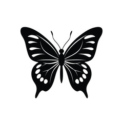 butterfly vector illustration