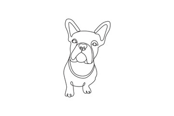 Minimalist line drawing of dog face. Pitbull face - dog  line art vector illustration. Editable stroke.