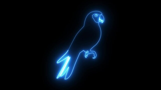 parrots bird neon animated parrots neon chroma 4k looping