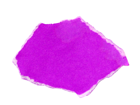 Pieces of torn or cut purple paper, design elements isolated on transparent background.