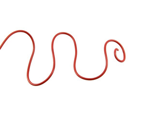 Fototapeta premium Wire cable of usb and adapter isolated on white background with clipping path.Electronic Connector.Selection focus.
