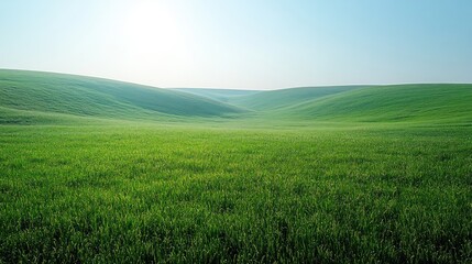 Serene green rolling hills landscape under a bright sun.
