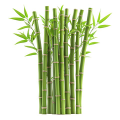 Green bamboo stalks with delicate leaves isolated on transparent background 