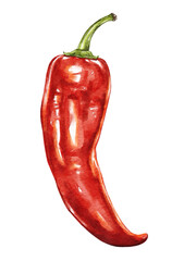 Watercolor illustration of a red chili pepper with a green stem, isolated on a white background. Realistic details and vibrant colors create a fresh, spicy feel.