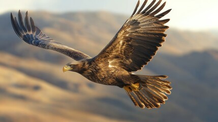 Obraz premium Majestic eagle soaring over mountains