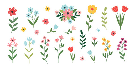 A stylish set of floral elements on a transparent background, featuring different flowers, tulips, and greenery. Ideal for weddings, invitations, greeting cards, posters, branding, and elegant designs