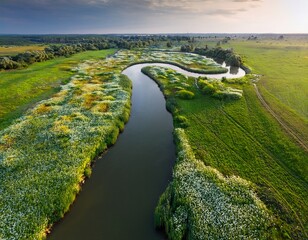 Obraz premium Generated image Drone view of a river delta with fresh green grass and flowers blooming along its banks