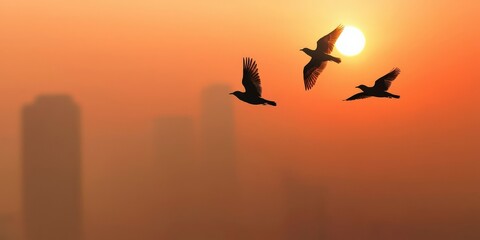 Obraz premium Stop pollution conservation concept. Silhouetted birds flying against a glowing sunset backdrop.