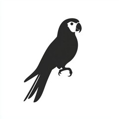 Fototapeta premium Black Parrot Silhouette on White Background