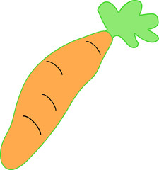 hand drawn carrot