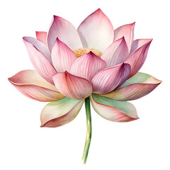 Elegant Watercolor Painting of a Pink Lotus Flower