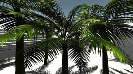 Lush palm trees, sunny day, tropical scene