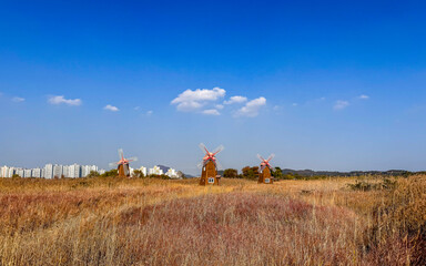 Traditional Windmills in a Golden Field Near the City