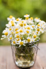 Bouquet of daisy flowers