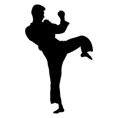 Taekwondo Athlete Silhouette. Isolated on White Background.