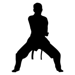 Taekwondo Athlete Silhouette. Isolated on White Background.