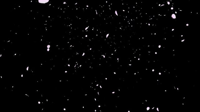 ひらひらと風に舞い散る花びら　花吹雪・フラワーシャワー・結婚式・ウエディング・お祝い・春・凱旋・入学・パーティーのイメージ素材