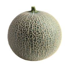 Fresh cantaloupe melon farm field food photography bright day close-up healthy eating