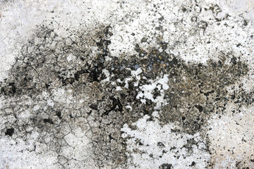 concrete wall texture