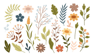 Floral clipart set, boho flowers, leaves and branches, hand drawn seasonal objects. Vector illustration in flat style