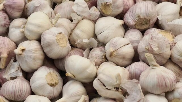 Dried garlic sold in the market