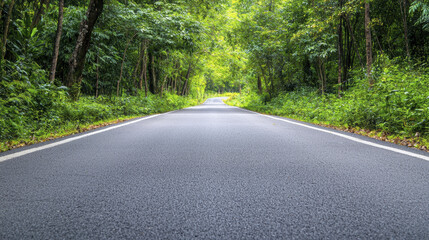 Obraz premium serene asphalt road winding through lush green trees and foliage